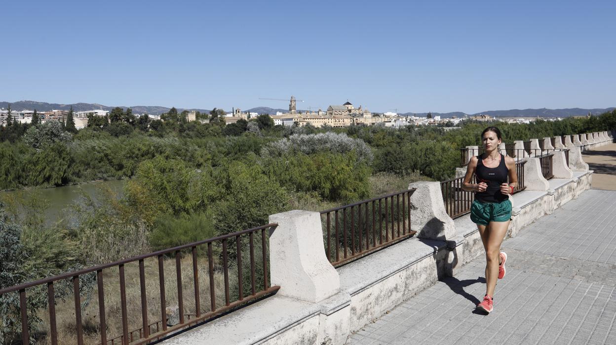 Perspectiva de los Sotos de la Albolafia desde el Campo de la Verdad