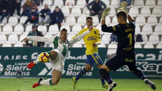 El Córdoba CF desciende a Segunda B en Las Palmas si...