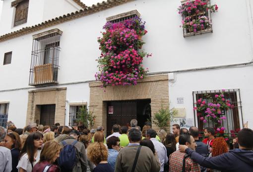 Patios de Córdoba 2019 | Los propietarios, el valor intangible de las manos que cuidan