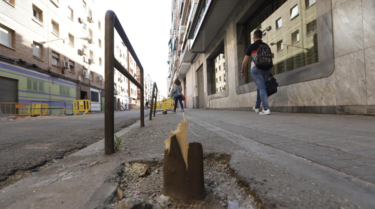 Naranjos arrancados en Ciudad Jardín, en una imagen tomada ayer