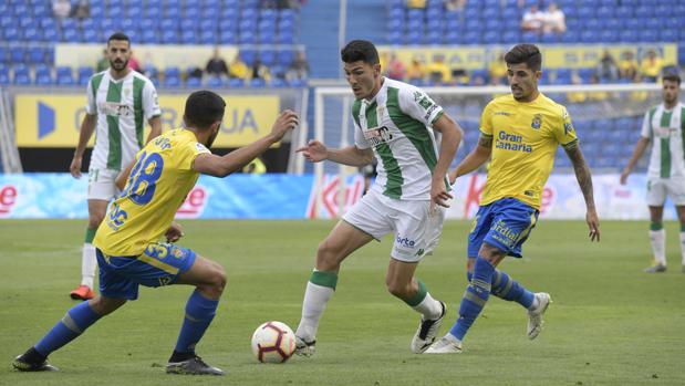 Las notas de los jugadores del Córdoba CF ante Las Palmas