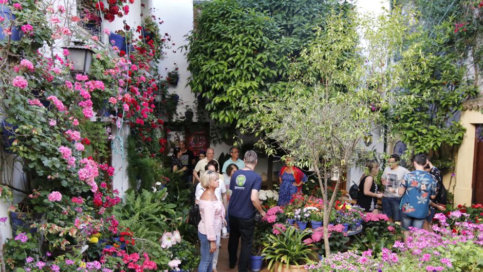 Patios de Córdoba 2019 | Regina y Realejo, los nombres en que buscar las joyas