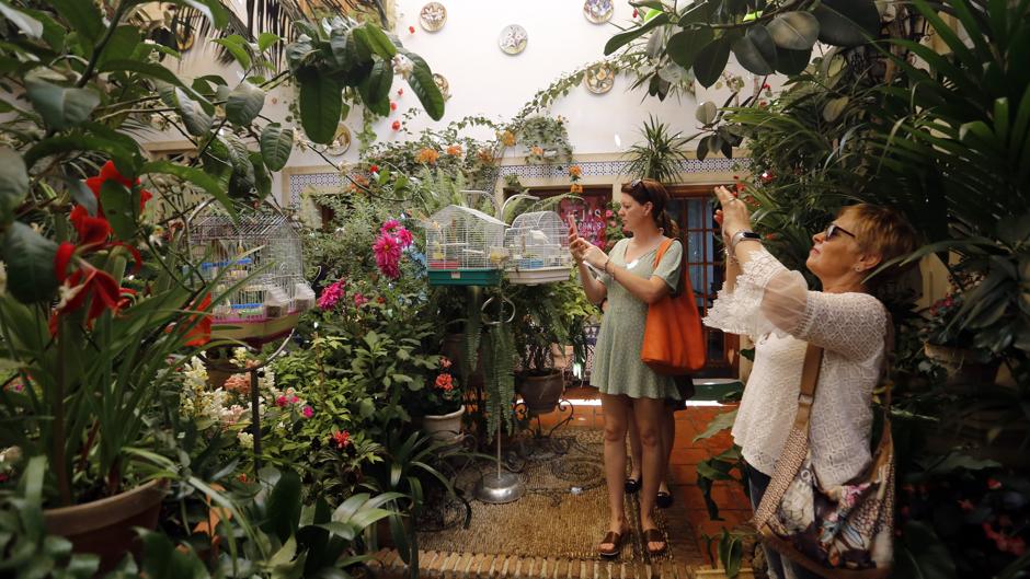 Patios de Córdoba 2019 | Judería y San Francisco, la intimidad de las flores y el canto de los pájaros