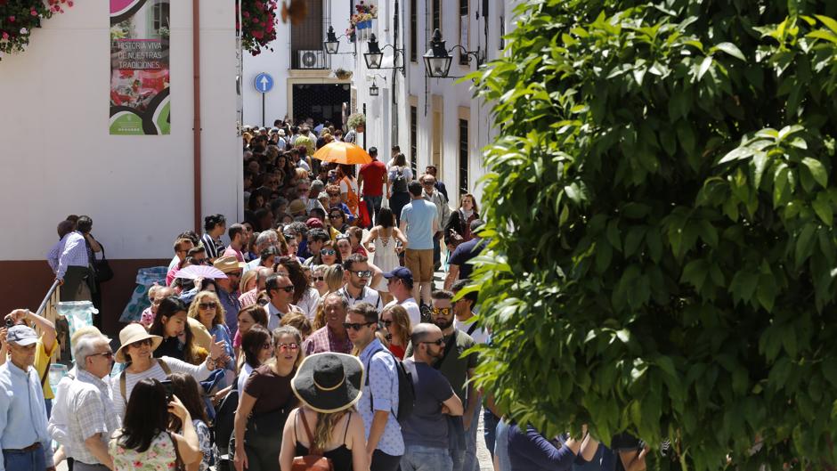 Patios de Córdoba 2019 | Los últimos sorbos de color