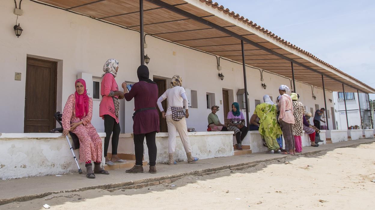 Trabajadoras en una finca agrícola