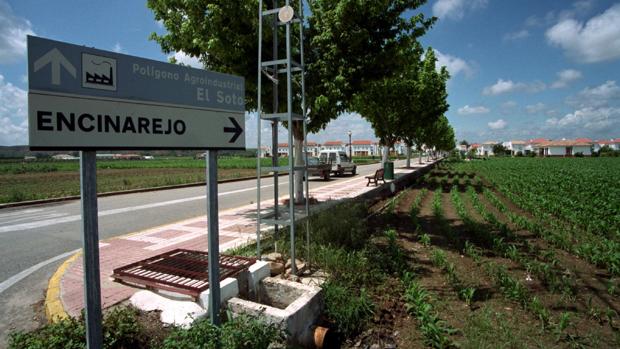 Condenado a dos años de inhabilitación un Policía Local de Encinarejo por dejar robar en un vivero