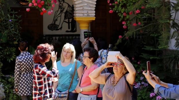 Encuesta: ¿La entrada a los patios de Córdoba debería cobrarse?