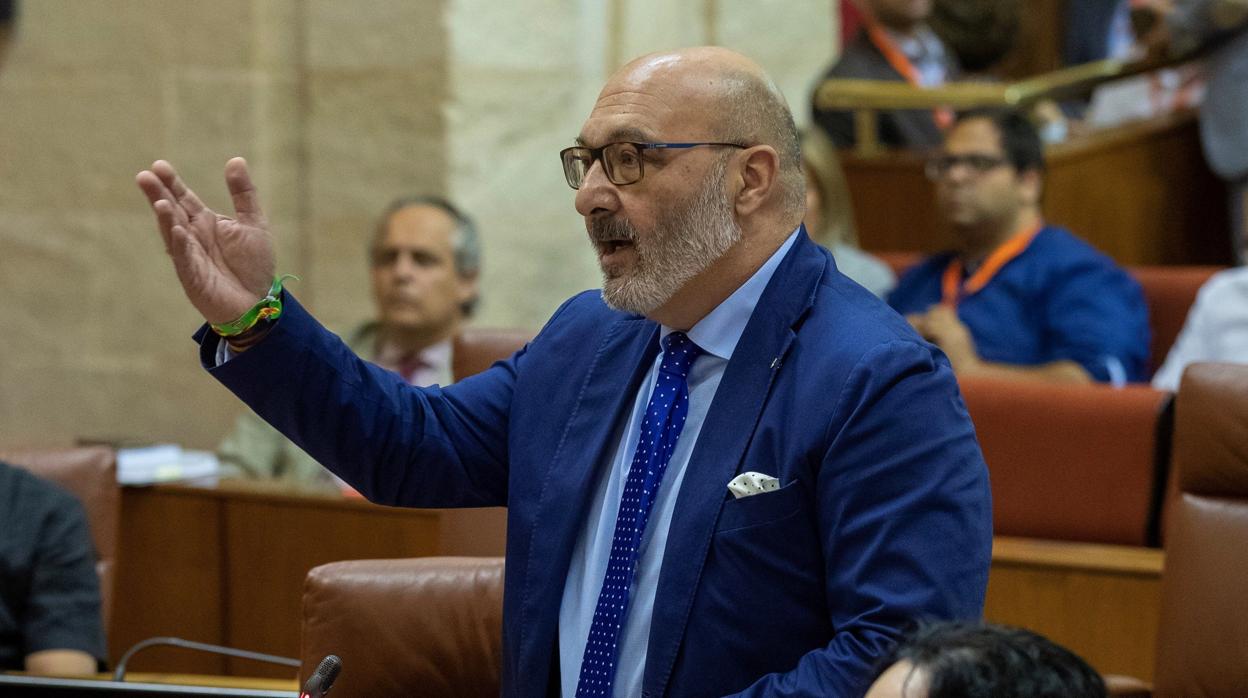 El portavoz de Vox, Alejandro Hernández, durante una intervención en el Parlamento