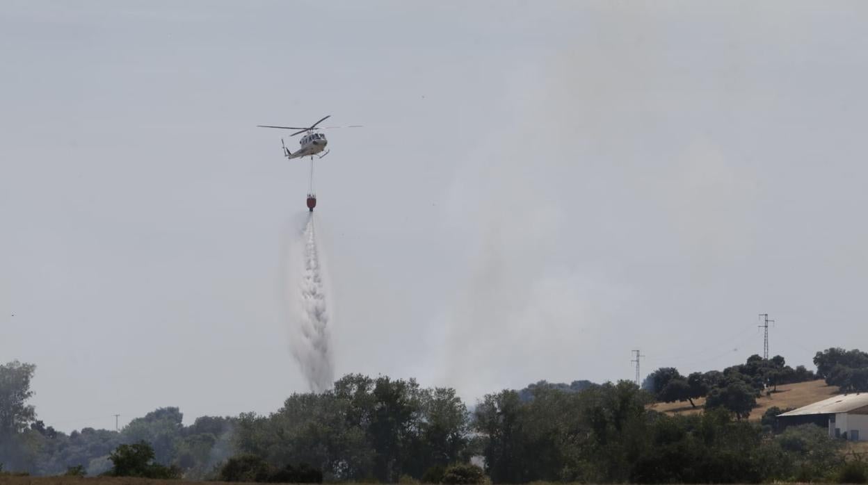 Imagen del incendio en las inmediaciones de Rabanales 21