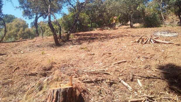 Ecologistas en Acción Córdoba lleva a la Fiscalía las construcciones ilegales en El Salado