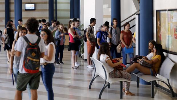 El próximo curso contará en Andalucía con nueve grados universitarios más en su oferta académica
