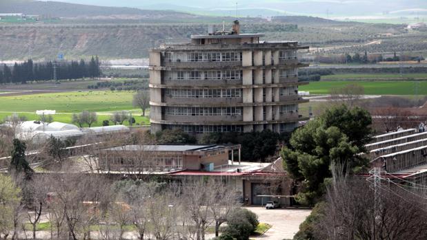La Universidad de Córdoba retoma un concurso para dar uso a la Torre de Agrónomos