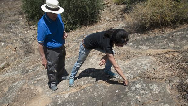 Investigan si el homínido más antiguo del planeta vivió en Andalucía