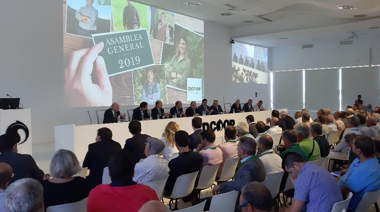 Asamblea de la cooperativa agroalimentaria DCOOP