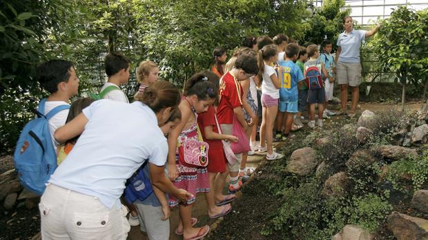 El cogobierno retrasa sin fecha el inicio de las Escuelas de Verano de Córdoba