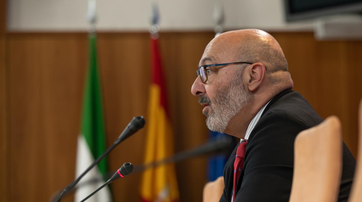 El portavoz de Vox en el Parlamento, Alejandro Hernández