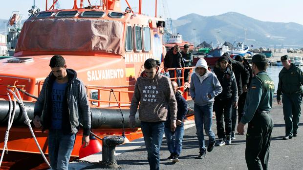 Piden el cierre del Centro de Inmigrantes de Granada por una plaga de pulgas