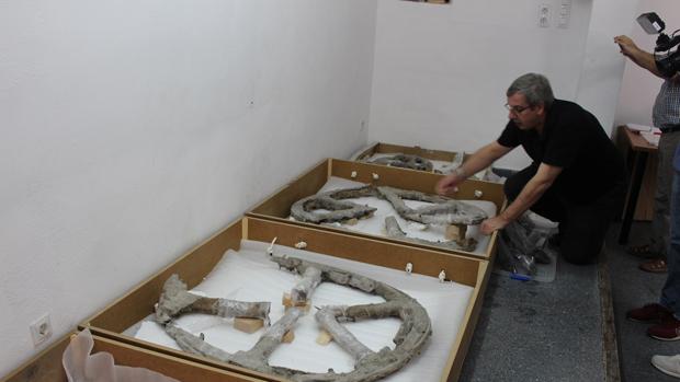 El carro ibérico de Montemayor va a ser restaurado y expuesto en el Museo Arqueológico