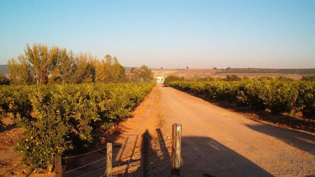 «Consciencia y conciencia alimentaria», por Juan Quintana