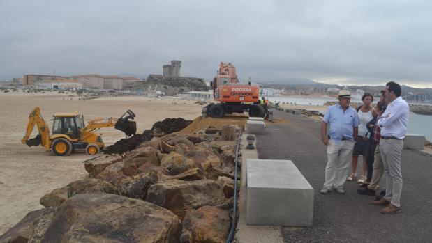 El Ayuntamiento de Tarifa vuelve a retirar toneladas de arribazones del alga invasora de sus playas