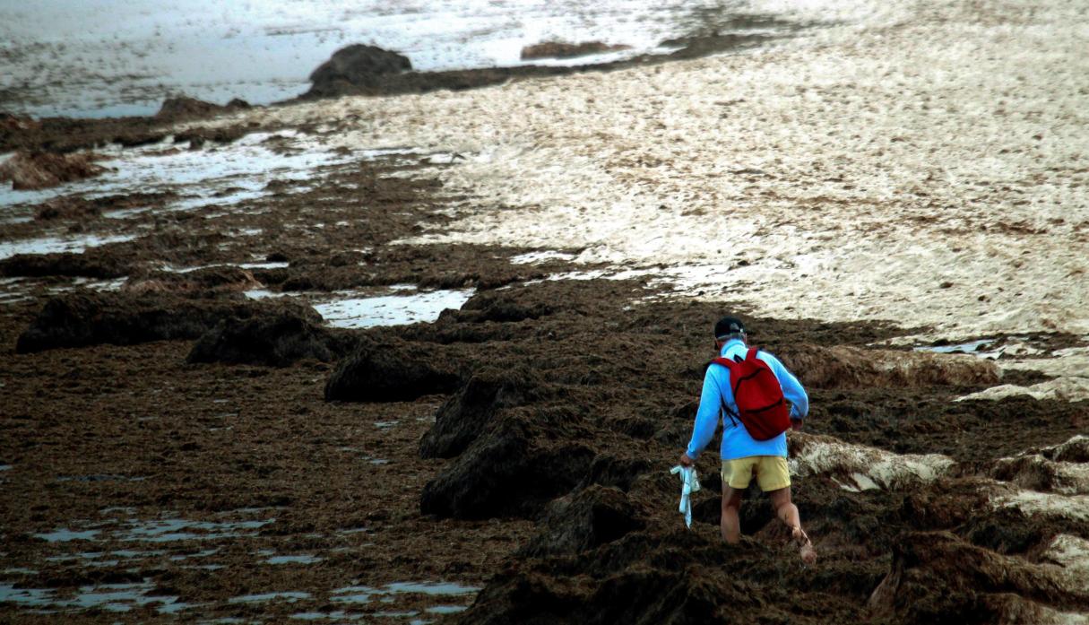 Aspecto de la playa de Los Lances en Tarifa en una imagen del pasado 15 de julio.