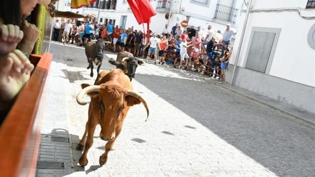 Un hombre corneado en los encierros de El Viso, estable y fuera de peligro tras ser intervenido