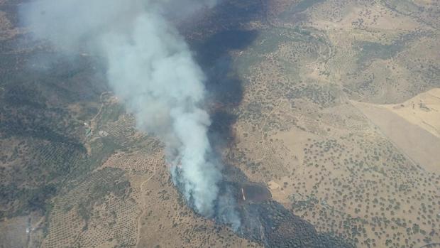 La Policía Autonómica investiga las causas del fuego que calcinó 70 hectáreas
