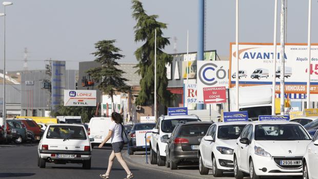 El Ayuntamiento de Córdoba detecta media centena de locales en el mercado