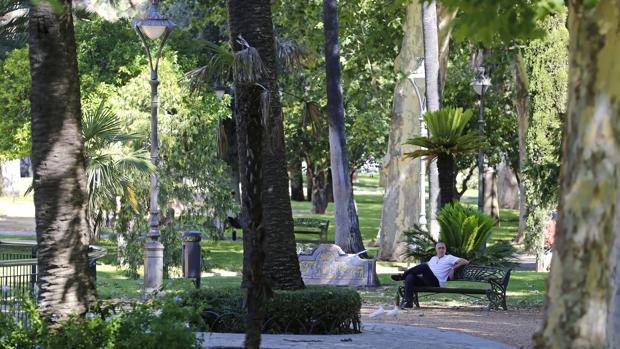 Hallan el cadáver de un aparcacoches de 37 años en los jardines de Los Patos de Córdoba