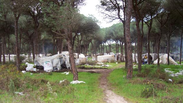 Prisión provisional sin fianza por dar una pedrada en la cabeza a un guardia civil en Lepe