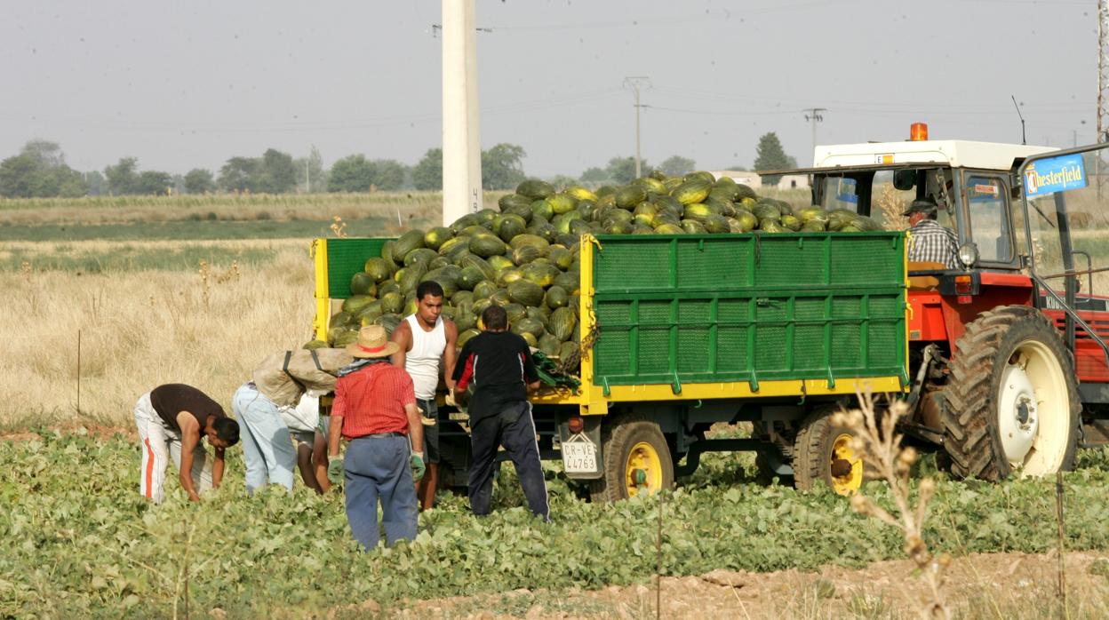 Imagen de archivo de un camión con melones