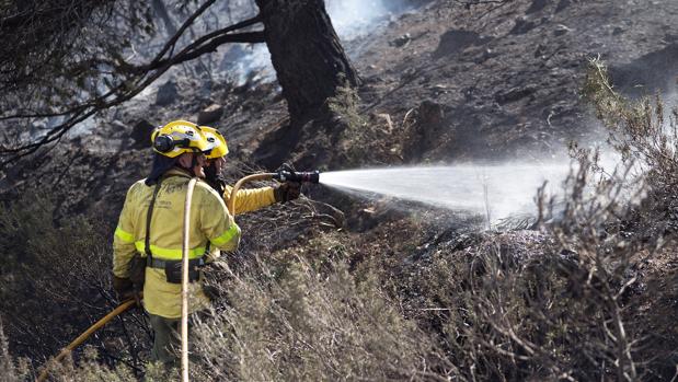 El fuego arrasa más de 3.200 hectáreas en 118 incendios, casi 400 más que hace un año