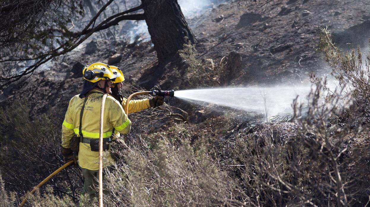 Efectivos del Infoca trabajan en la extinción de un incendio forestal declarado esta mañana en el paraje del Túnel de la Gorgoracha