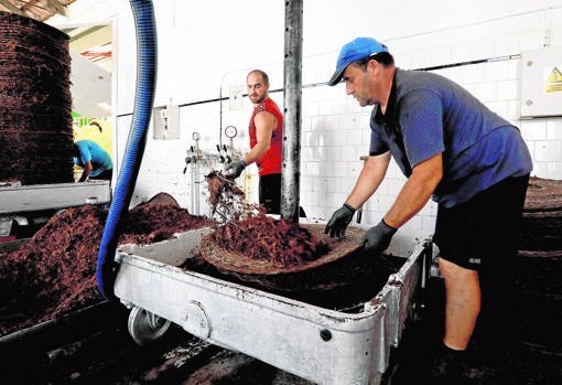 Montilla-Moriles, la vendimia de los 100.000 jornales en Córdoba