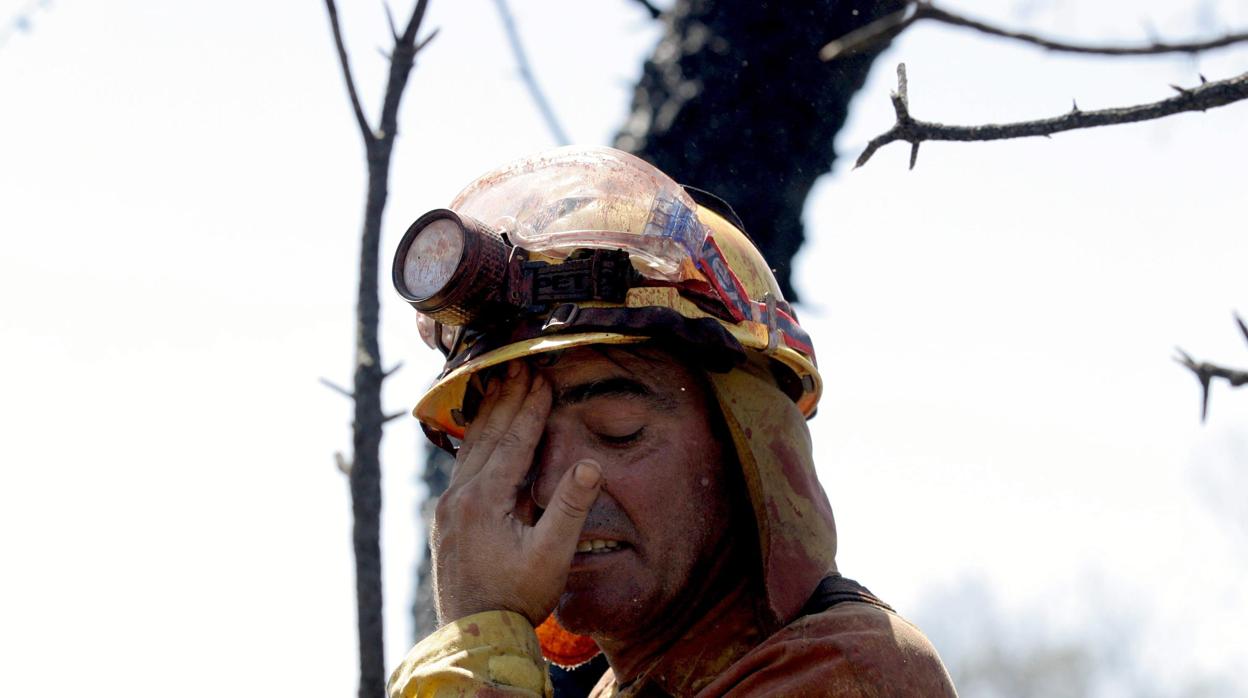 Bombero trabaja en las tareas de extinción