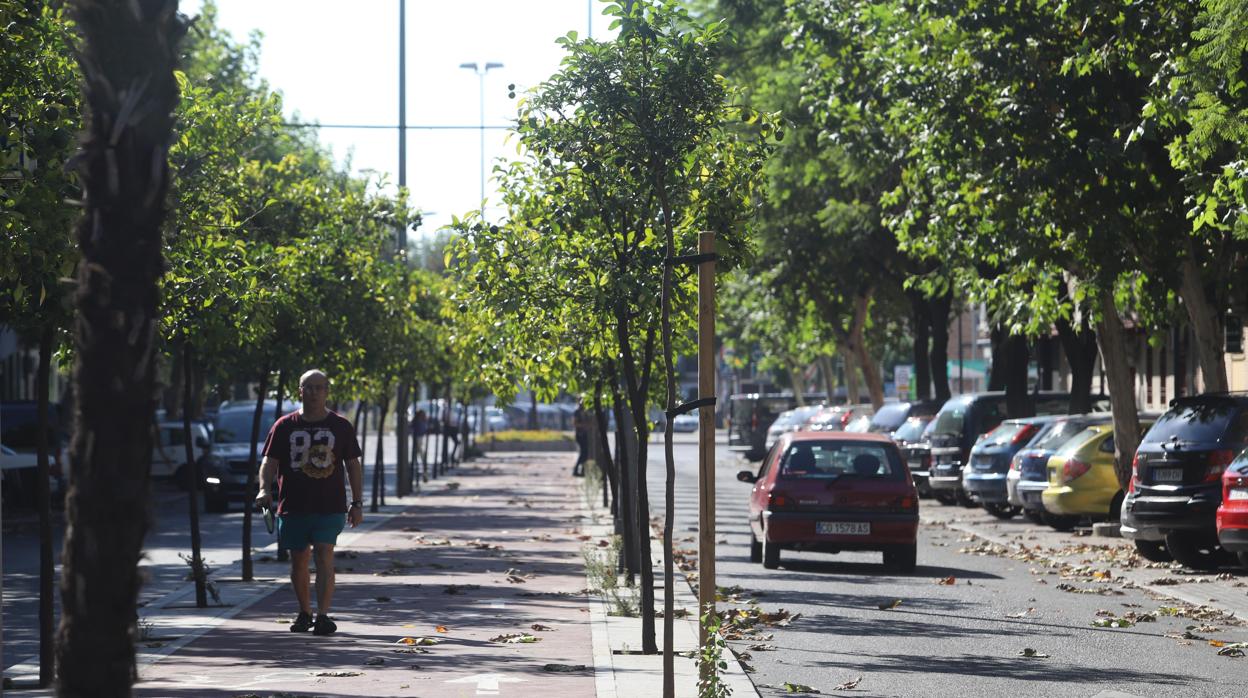 Una de las calles del barrio de Levante