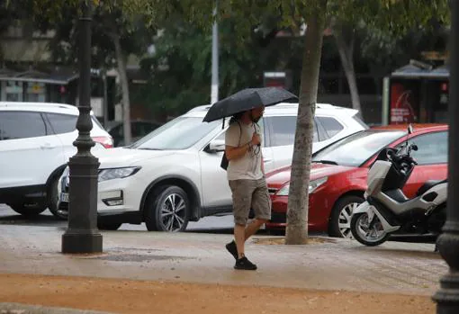 Un joven pasea bajo un paraguas en la capital