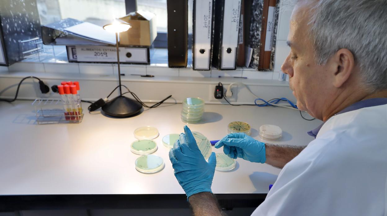 El director del Laboratorio Municipal, trabajando sobre unas muestras