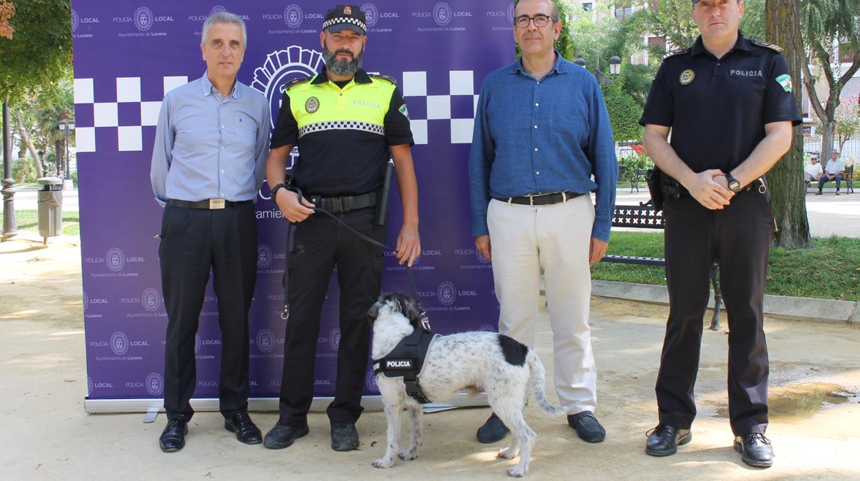 El perro Pirri, en el centro de la imagen