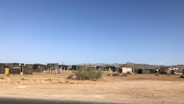 Denuncian el incremento de poblados chabolistas en torno a la agricultura de Almería