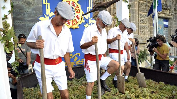 Todo lo que debes conocer de las Fiestas de la Vendimia de Jerez