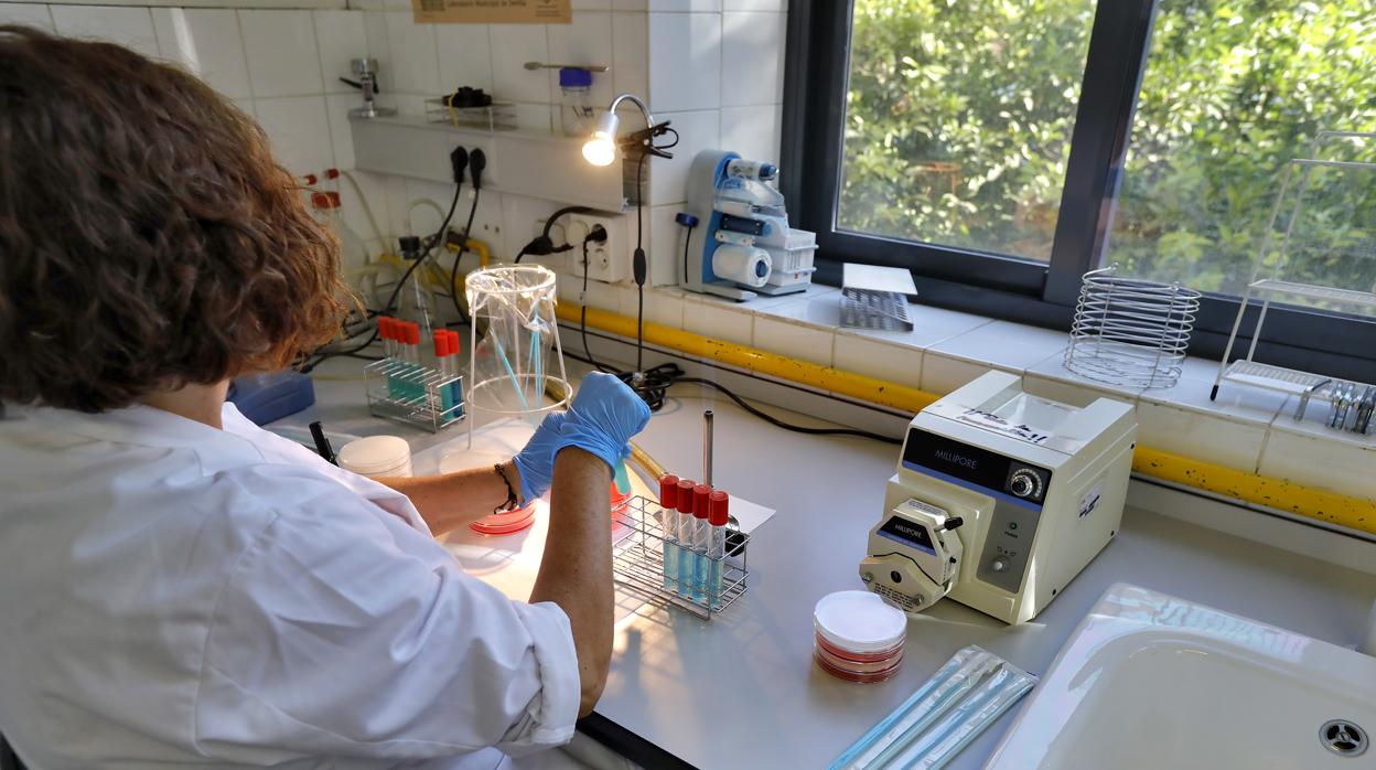 La Junta destaca la reducción «significativa y sostenida» del número de casos confirmados