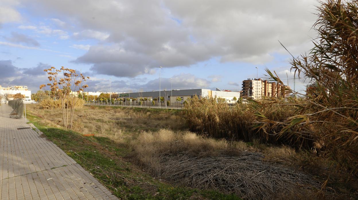 Prolongación de la avenida de Manolete donde se levantará una de las dos nuevas comisarías