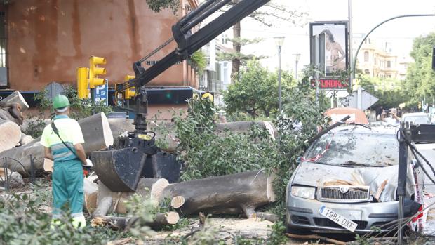 Más de 700 incidencias por las lluvias, centradas en Málaga y Granada