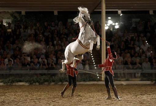 Guía para no perderte nada de la Feria del Caballo de Córdoba Cabalcor 2019