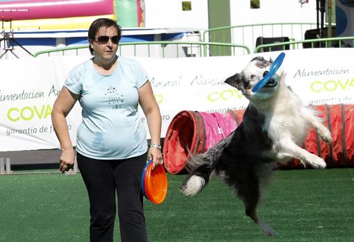 La edición de 2019 incluirá un concurso de habilidades caninas