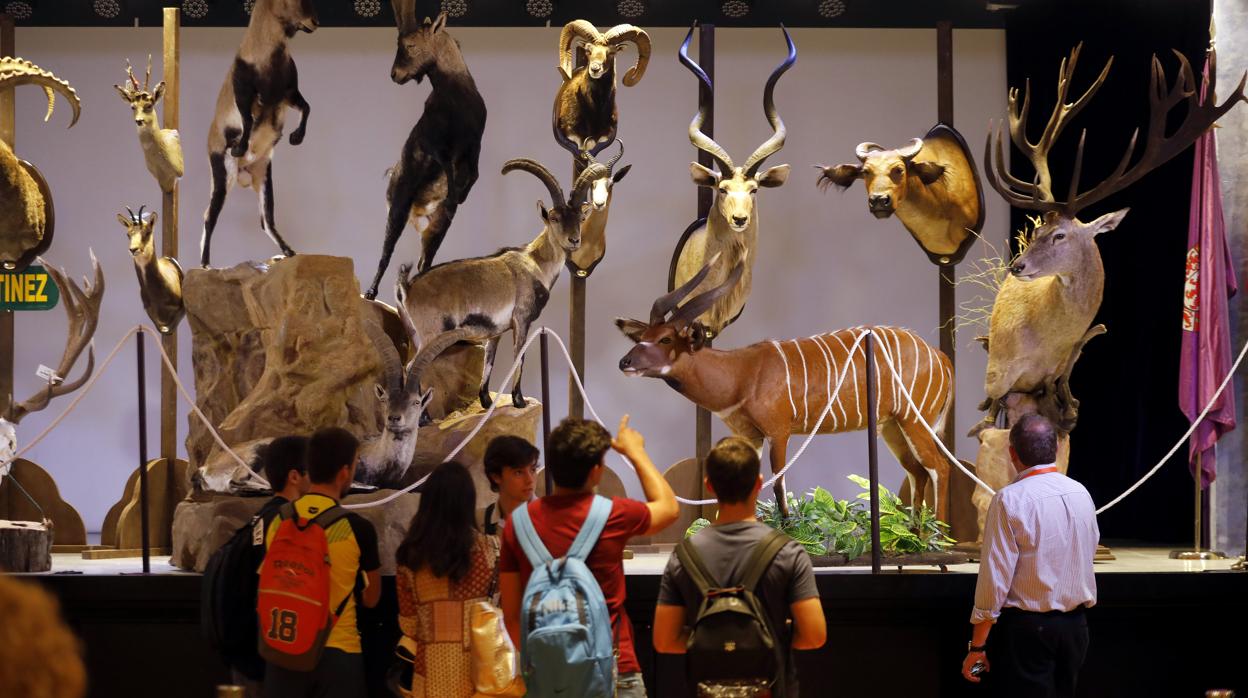 Varias personas observan la exposición de taxidermia en la edición de 2018 de Intercaza