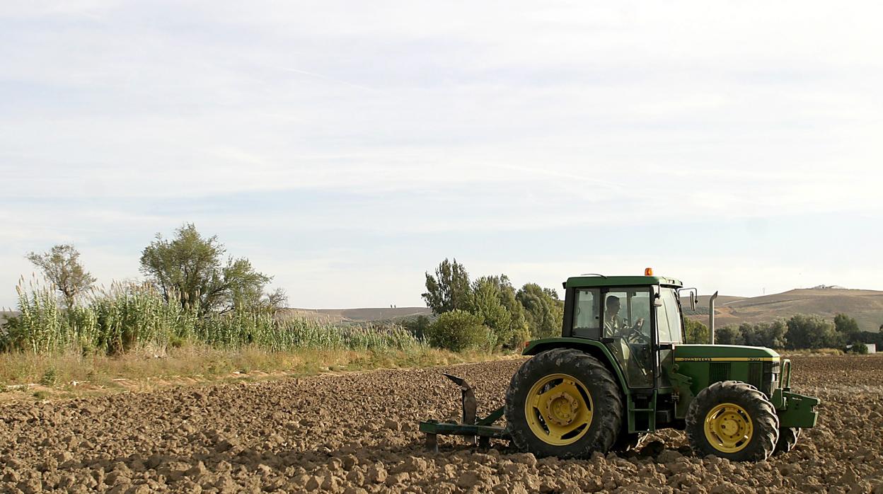 Un tractor realizando labores agrícolas en una finca de Córdoba