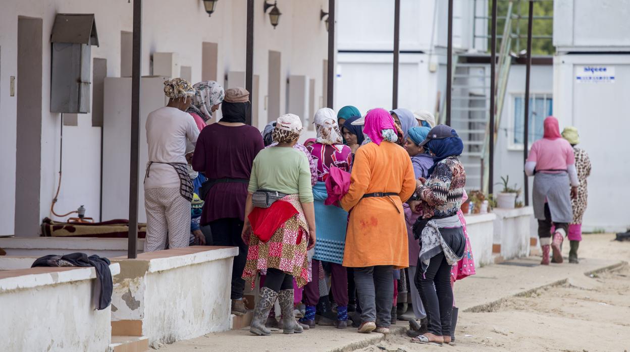 Un grupo de temporeras en la finca del empresario denunciado