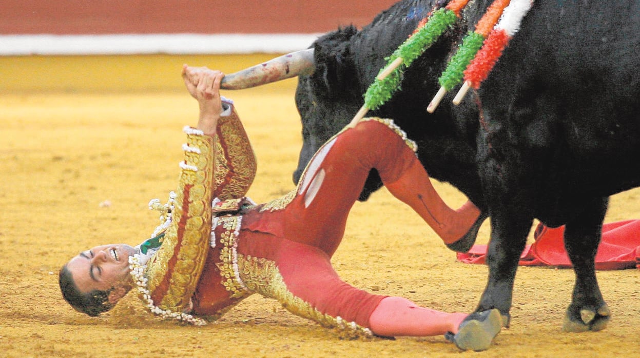 Torres intenta zafarse del asta de un toro en una corrida en Córdoba en 2007